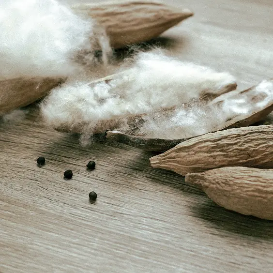 コットンシードオイル