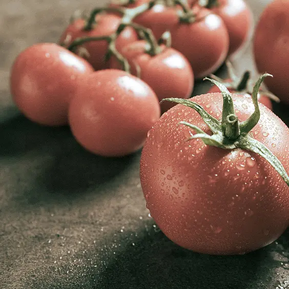 トマトシードオイル