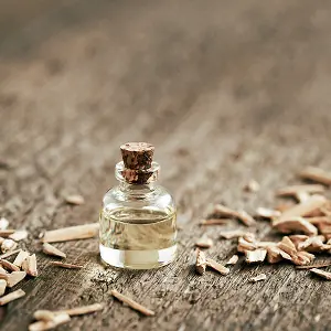 深みのあるパウダリーな雰囲気